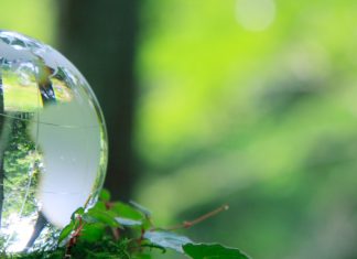 sostenibilità delle imprese