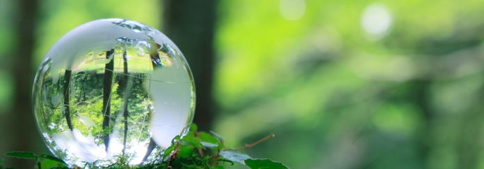 sostenibilità delle imprese sostenibilità delle imprese