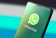 utenti WhatsApp