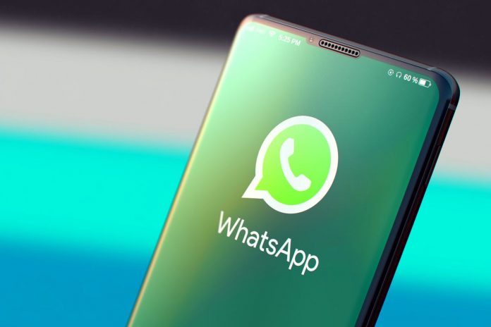 utenti WhatsApp utenti WhatsApp