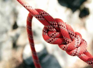 Link Building