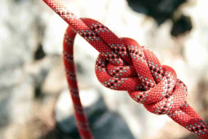 Link Building Link Building