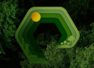 impatto dell’IT sull’ambiente