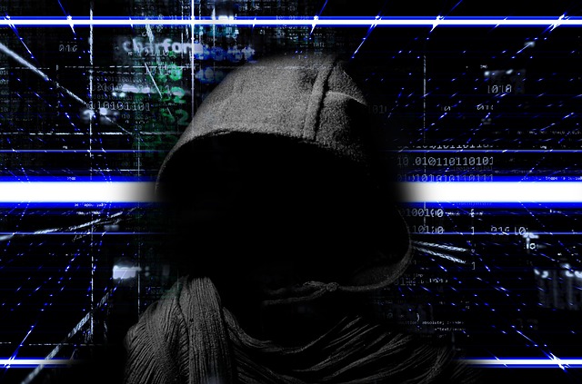 Crimini ransomware Crimini ransomware
