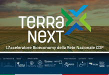 Terra Next