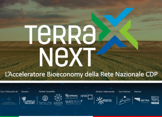 Terra Next