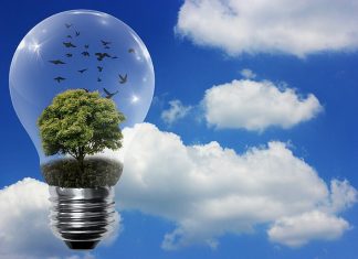 transizione-ecologica