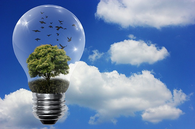 transizione-ecologica transizione-ecologica