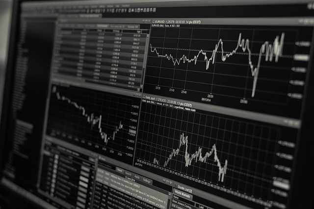 gestione-finanziaria gestione-finanziaria