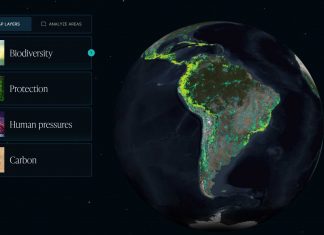 green-future-project