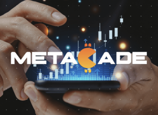 Shiba Inu-metacade