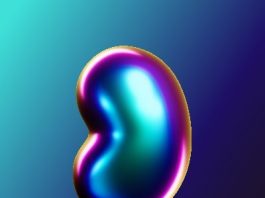 euro-token