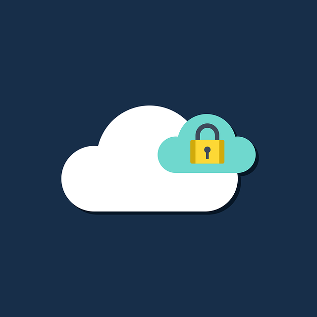 Criminali-informatici Criminali-informatici