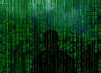 professionalizzazione-del-cybercrime