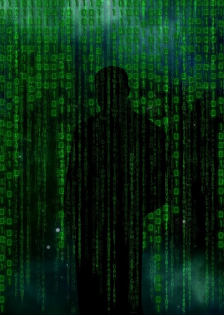 professionalizzazione-del-cybercrime professionalizzazione-del-cybercrime