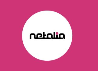 Netalia: i fattori chiave del successo Netalia