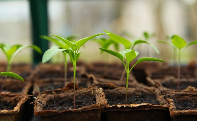 startup-greentech startup-greentech