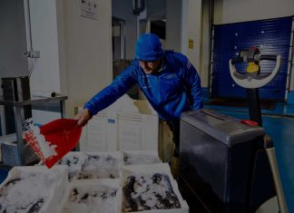 Eurofish