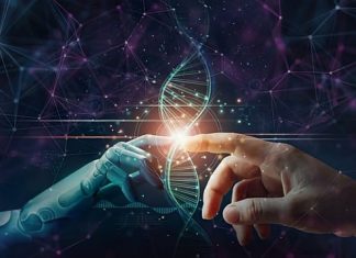 social-innovation-fund