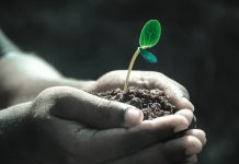 Agricoltura 4.0: un’app per migliorare la qualità del suolo qualità del suolo