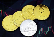 Le migliori 7 altcoin su cui investire nella prossima bull run crypto Criptovalute e bot