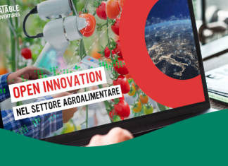 settore-agroalimentare