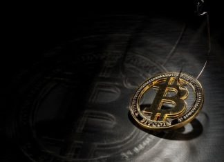 utenti-di-criptovalute