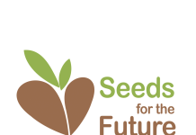 Huawei Seeds for the Future: 100mila dollari alle startup Seeds for the Future