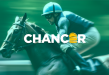 Le “crypto-whales” si lanciano su Chancer: raccolti $ 1,7m — che cosa aspetti? chancer