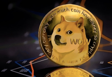 Elon Musk smentisce la creazione di un suo token mentre questa crypto promette rendimenti elevati Elon Musk dogecoin