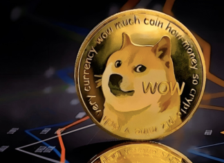 Elon Musk dogecoin