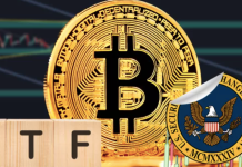 In che modo il lancio dell’ETF Bitcoin influirà sul prezzo del Bitcoin? ETF Bitcoin