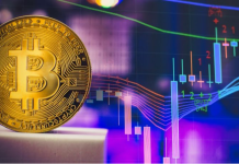 La migliore alternativa Bitcoin per la prossima crypto bull run alternativa Bitcoin