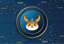 Il rally di ottobre di Floki Inu ha smosso il mercato delle criptovalute. Quali sono le migliori alternative a FLOKI? Floki Inu