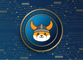 Floki Inu