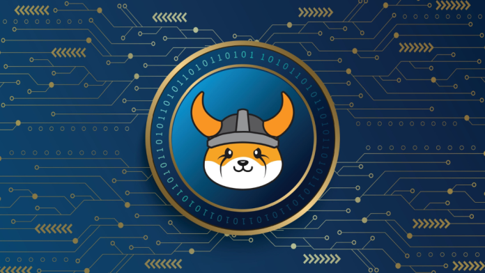 Floki Inu Floki Inu