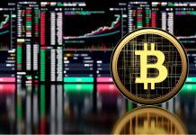 Le previsioni sulle criptovalute a novembre 2023 – Quali crypto seguire oltre Bitcoin? previsioni sulle criptovalute