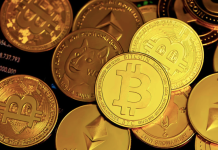 Gli analisti prevedono un futuro luminoso per Solana (SOL), Monero (XMR) e TG.Casino (TGC) Solana (SOL), Monero (XMR) e TG.Casino