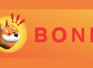 Bonk