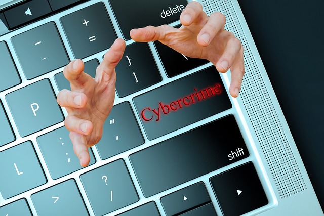 cybercrime-3528223_640