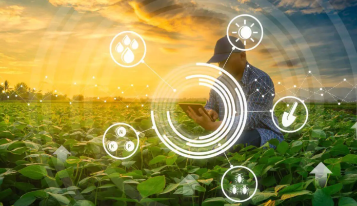 Agrifood