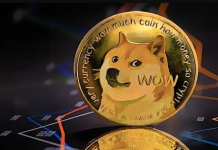 I prezzi di Dogecoin e Bonk scendono, ma i trader italiani stanno investendo in quest’altra meme coin. Ecco perché Dogecoin e Bonk