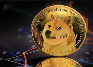 Dogecoin e Bonk