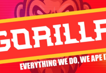 Gorilla e Bonk trainano il settore delle meme coin, quali altri token esploderanno nel 2024? Gorilla e Bonk