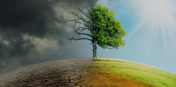 neutralità climatica