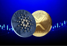 Il mercato delle crypto rallenta ma gli investitori italiani stanno puntando su questa nuova altcoin