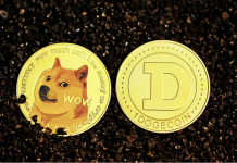 dogecoin