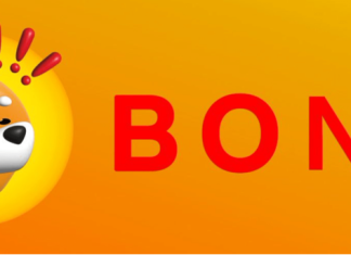 Bonk