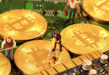 calo di Bitcoin