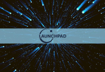 Shiba Inu - launchpad